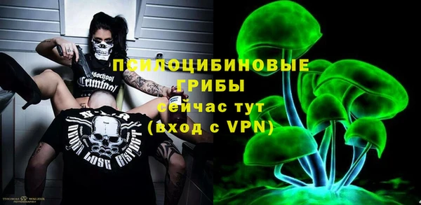 синтетический гашиш Алексеевка